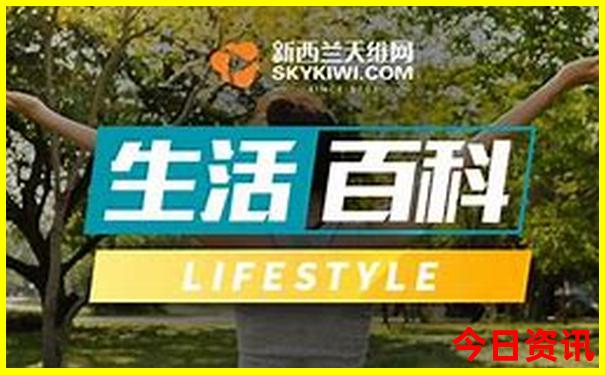 江西南桥镇旅游景点